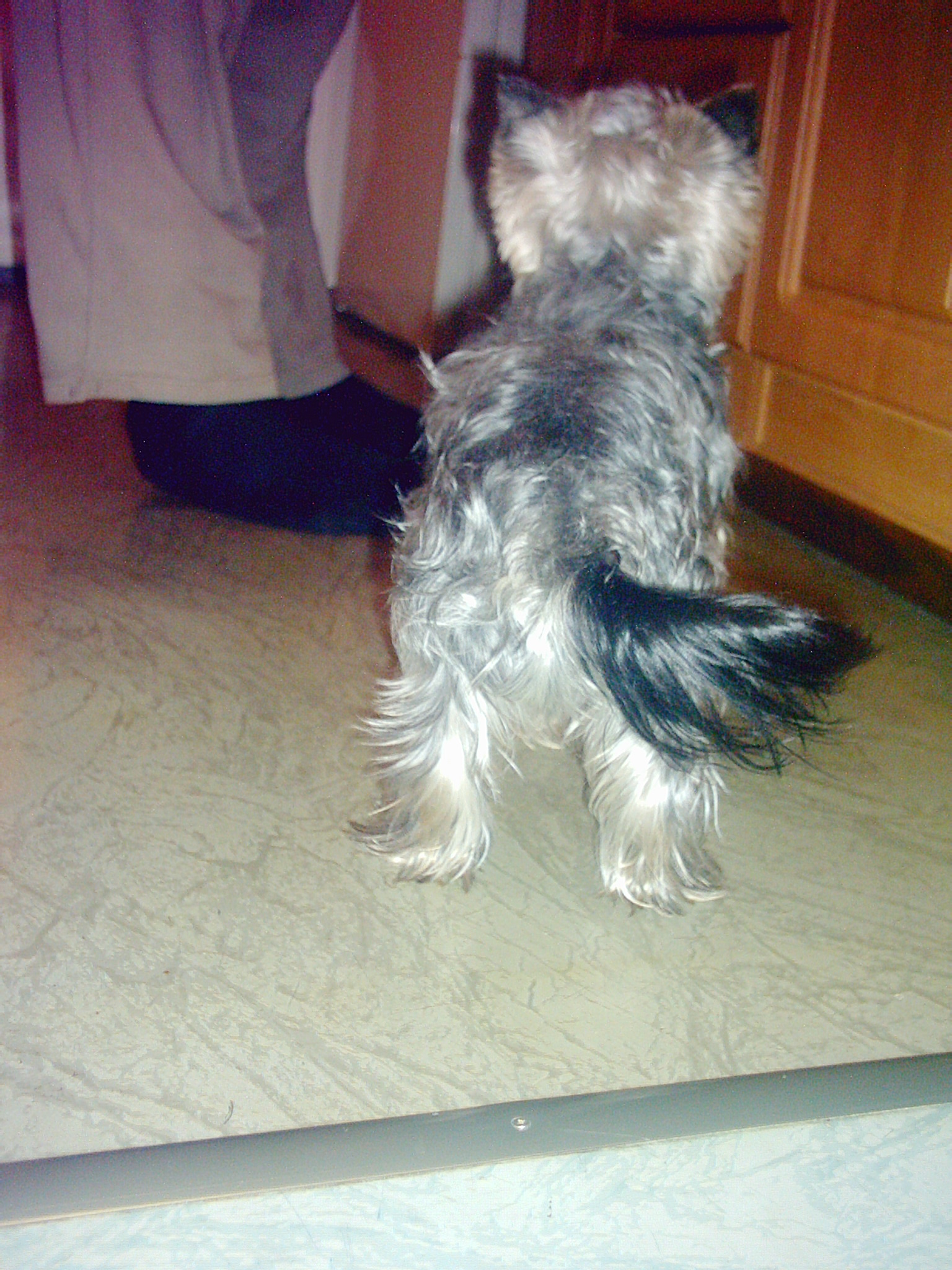 PIC00012.JPG