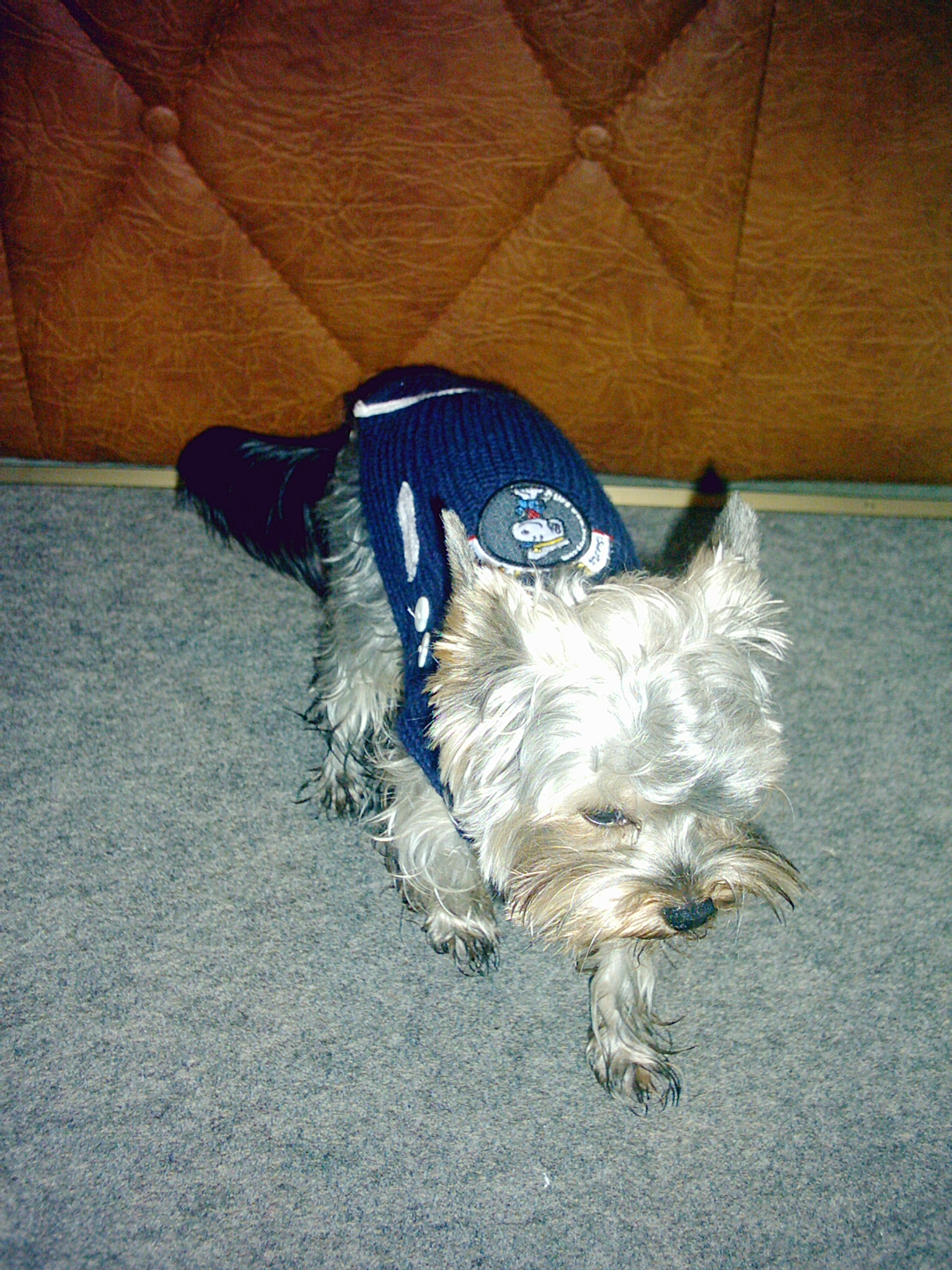 PIC00054.JPG