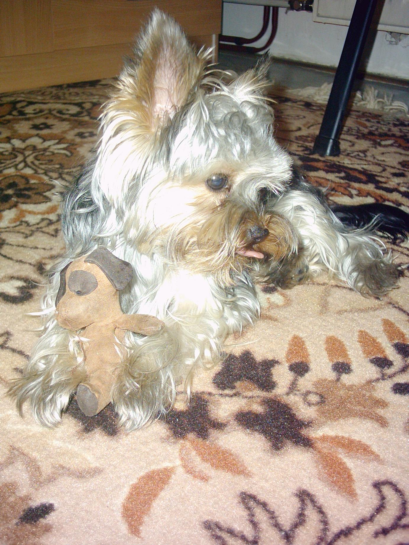 PIC00146.JPG